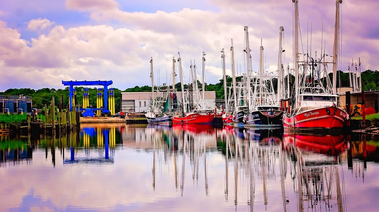 Colorful shrimp boats on the water in the harbor at sunset