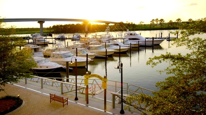 Boats in a marina during sunset at The Wharf in Orange Beach, Alabama