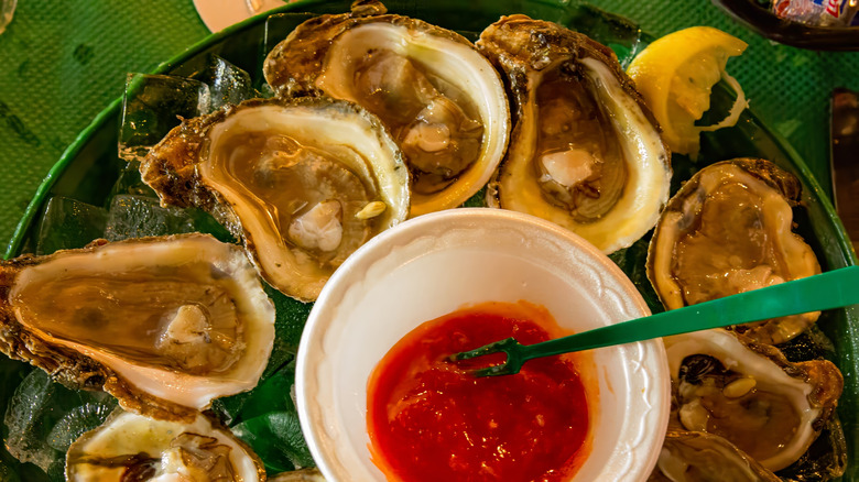 Plate of fresh Alabama oysters on the half shell with cocktail sauce