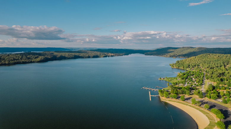 Lake Guntersville picture from above showing beach area