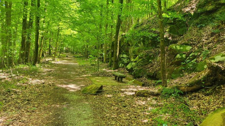 Hiking trail in the Cahaba River National Wildlife Refuge in Bibb County, Alabama