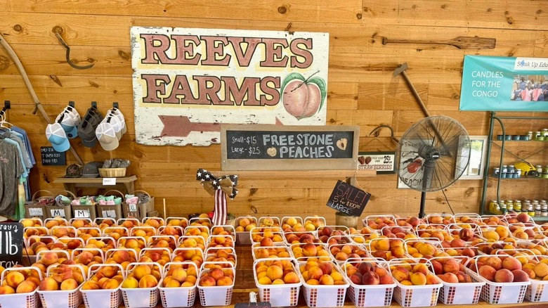 Peaches for sale at Reeves' Farm