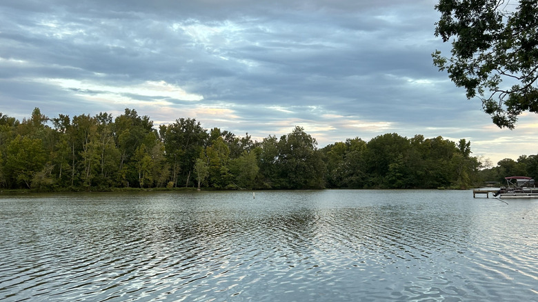 Trees surrounding Lake Weiss in Alabama
