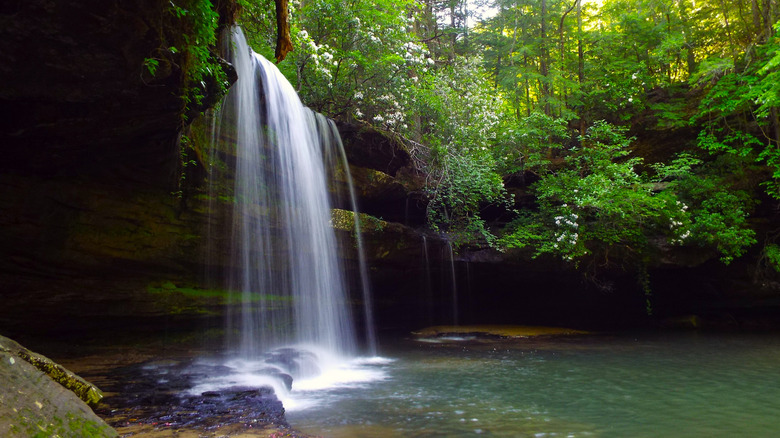 Upper Caney Creek Falls in Bankhead National Forest