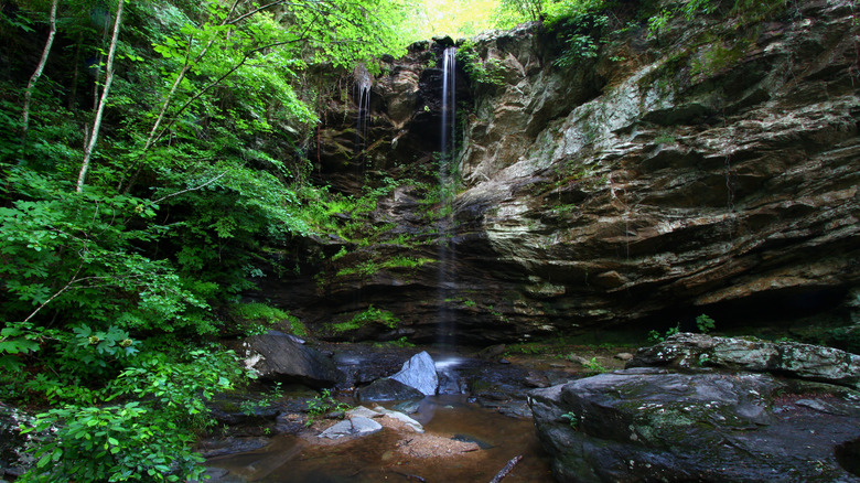 Waterfall flows through the wilderness of the Talladega National Forest in Alabama