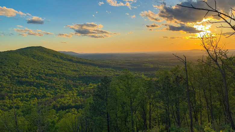 Sunset over the forest, Talladega National Forest, Alabama