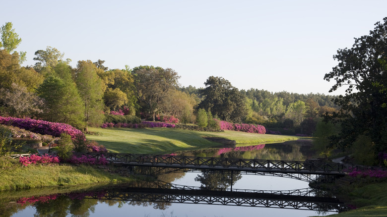 View of Mirror Lake and the azalea-lined shore at Bellingrath Gardens in Alabama