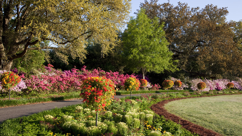 View of a flower-lined path at Bellingrath Gardens in Alabama