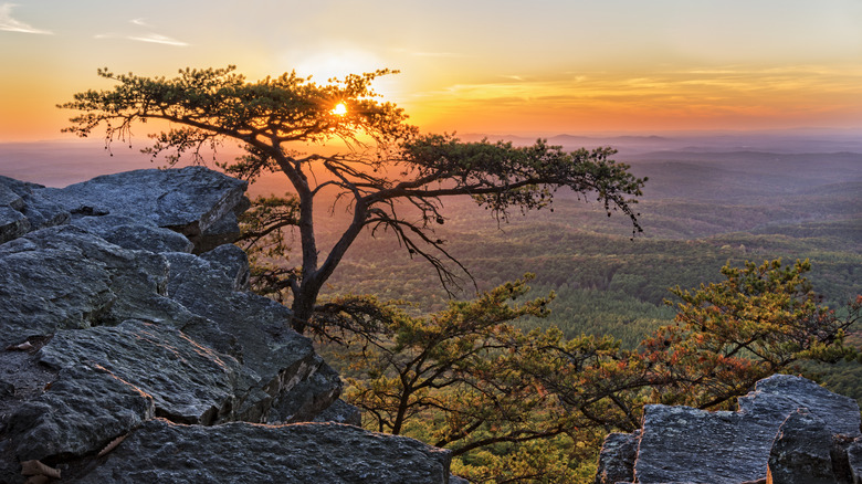 Sunset over mountains with rock outcropping and tree in Alabama's Cheaha State Park