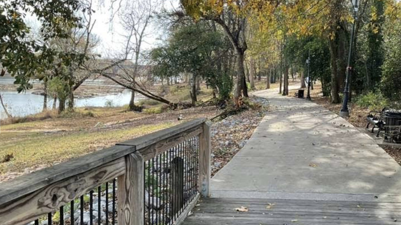 Views along the Riverwalk West Trail.