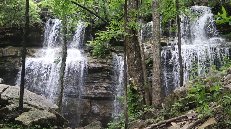 The waterfall at Bethel Springs Nature Preserve