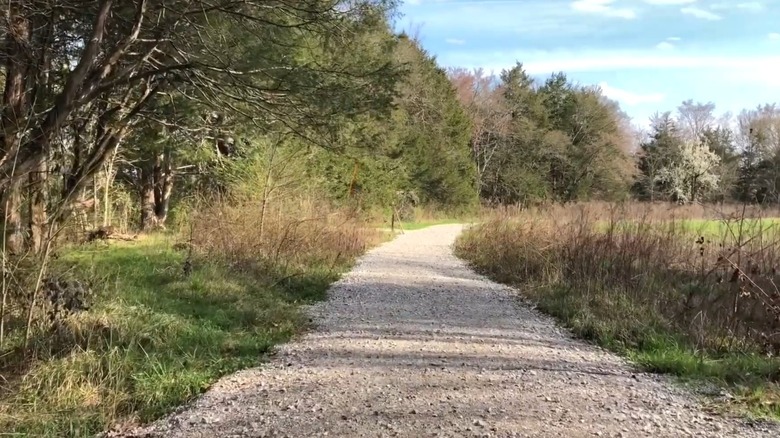 The gravel Bethel Creek Loop Trail at Bethel Spring Nature Preserve