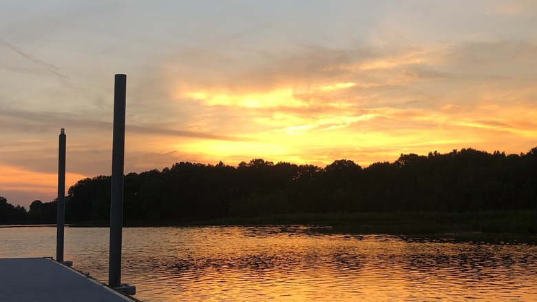 Dannelly Reservoir, also known as Millers Ferry, during sunset at Roland Cooper State Park, Alabama