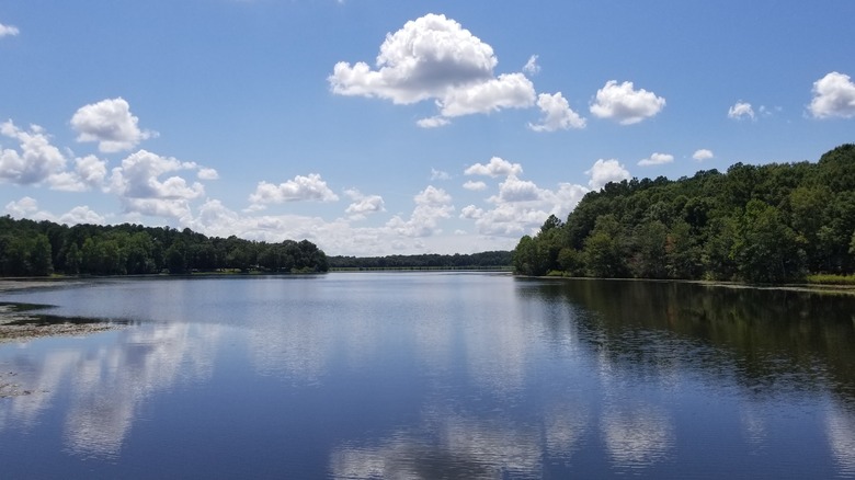 Lake Frank Jackson at Frank Jackson State Park, Alabama, with calm waters reflecting the surrounding greenery