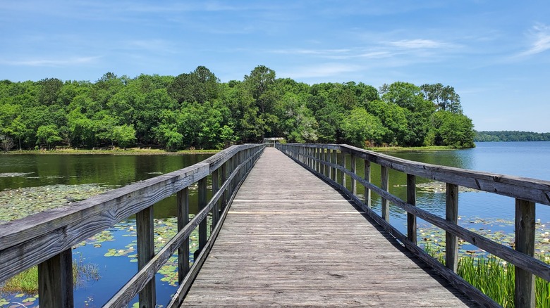 Boardwalk at Frank Jackson State Park, Alabama, leading to a small island covered with trees