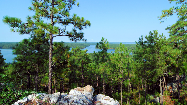 View from Smith Mountain near Lake Martin