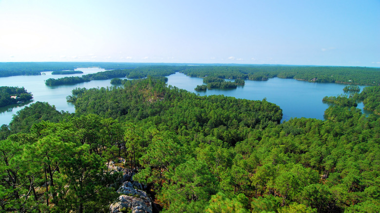Lake Martin surrounded by trees