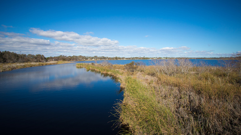 A grassy knoll beside lake