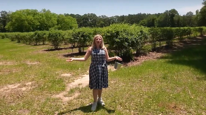 A screenshot of a video showing blueberry farms and bushes with a blonde woman in the front