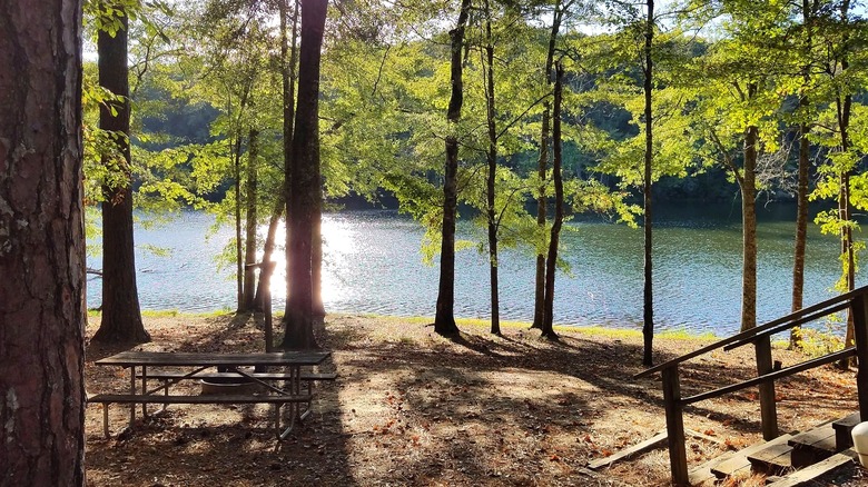 A campsite with a staircase in the corner that leads down to a picnic table, fire pit, trees, and view of the lake.