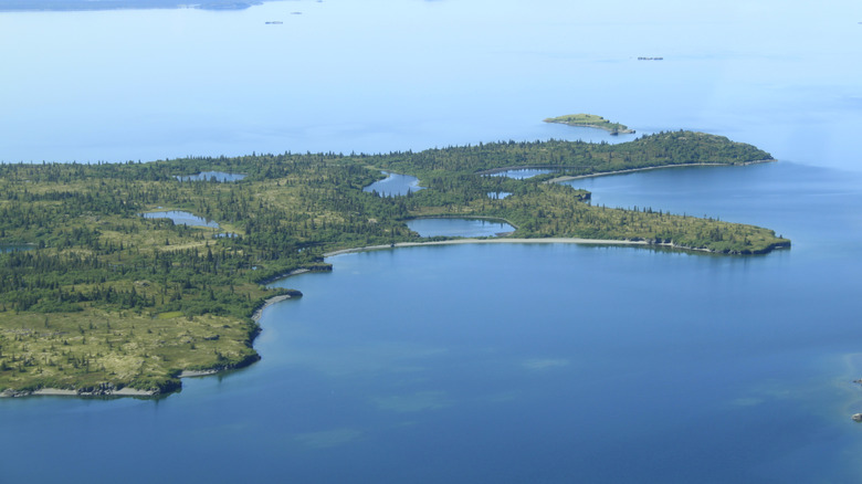 An aerial view of Iliamna Lake in Alaska with blue water and forested land punctuated by bays and lakes.