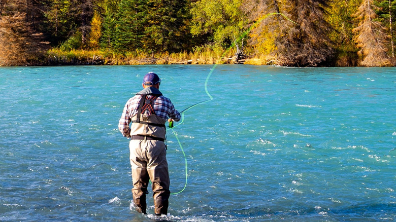 A fly fisherman in knee-deep water casting his line out into the Kenai River.