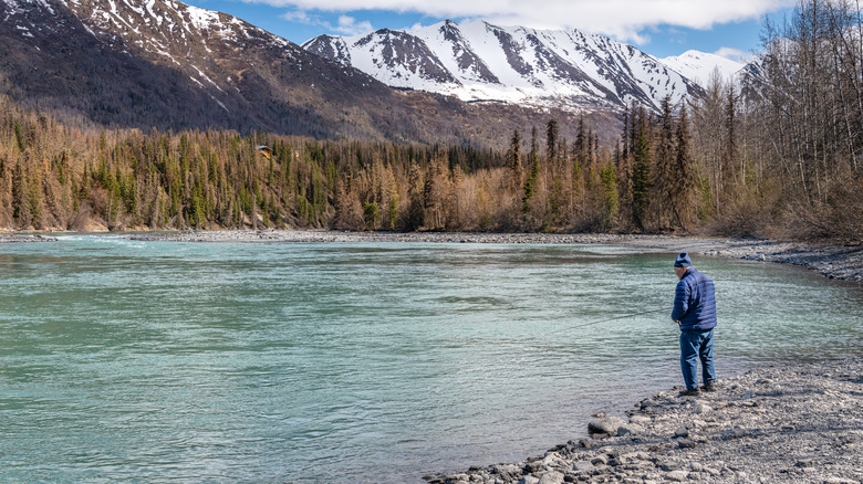Man fishing on the banks of the Kenai River east of Sterling, Alaska