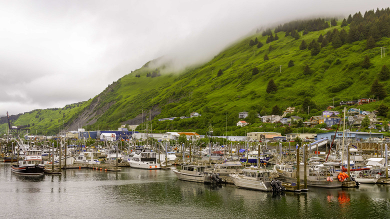Boats along port in Kodiak, Alaska