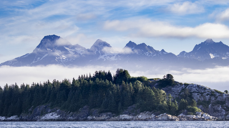 The sea, trees, and mountains in Gustavus, Alaska