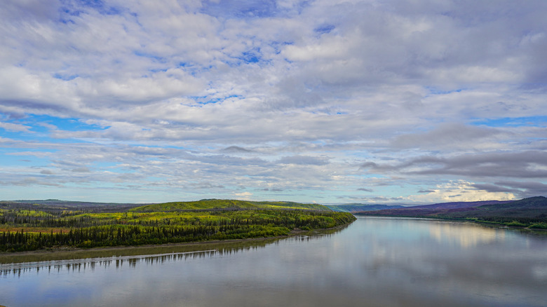 Yukon River flowing quietly next to green hills