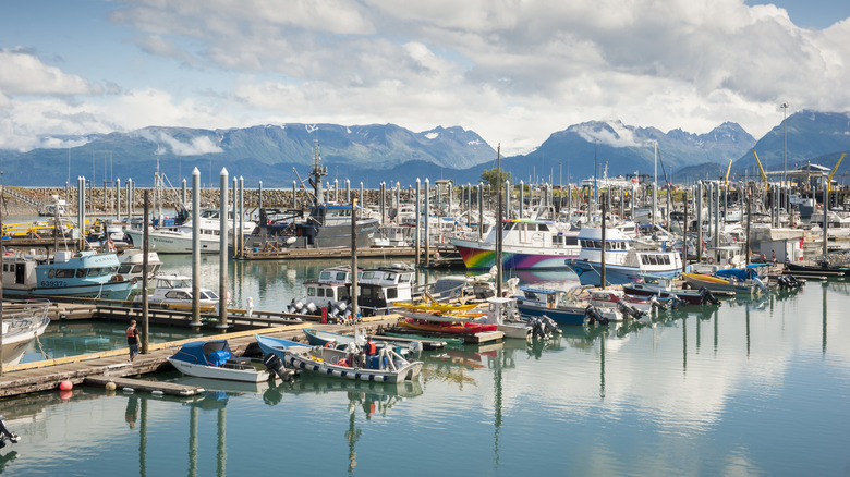 Boats docked in Homer, Alaska