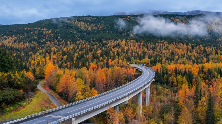 An aerial view of the Seward Highway in fall surrounded by autumn foliage