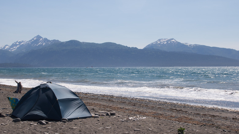 A tent on the beach in Kachemak Bay State Park