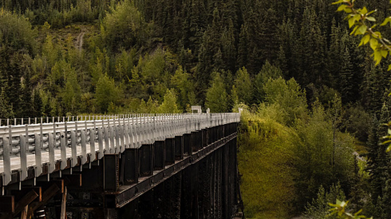 A look at the Kuskulana Bridge on McCarthy Road surrounded by lush forest