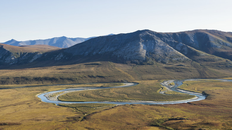 A wild Alaskan river