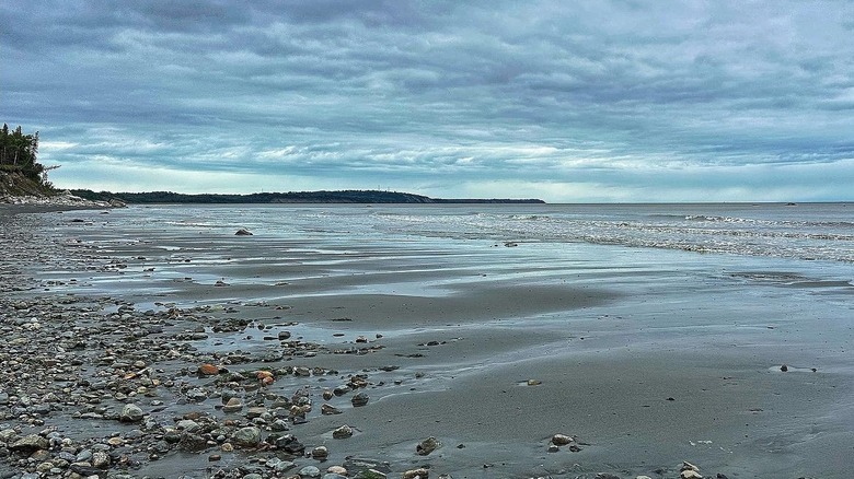 Rocks on gray sand and mud beach