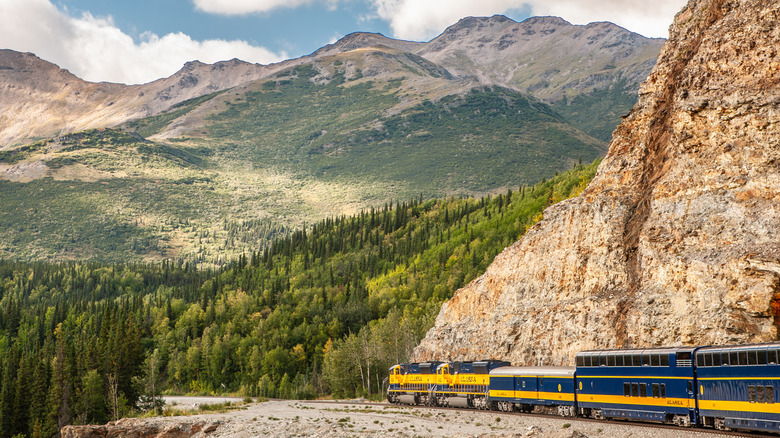The Denali Star Train passing near Denali National Park