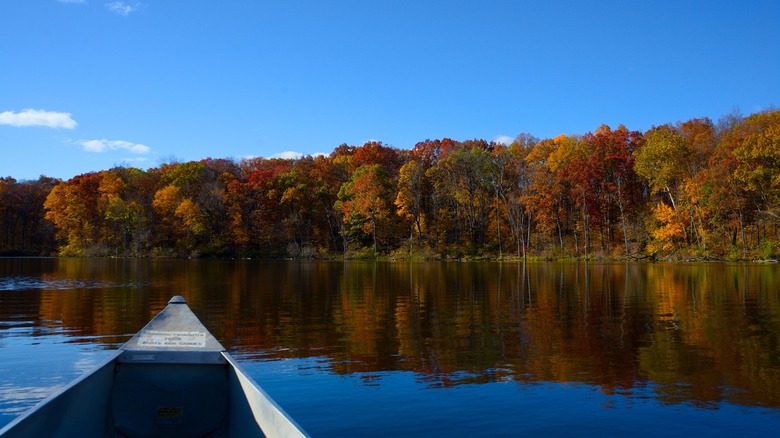 Canoe paddles along fall foliage at Chain O' Lakes state park in Albion