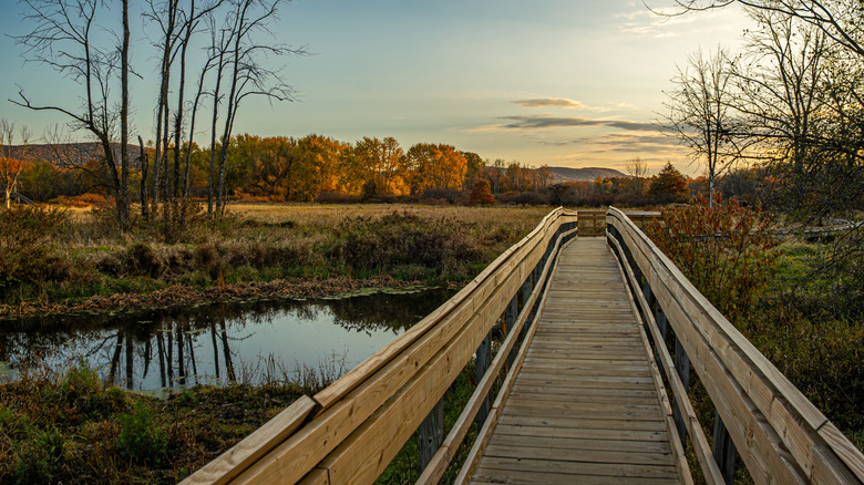 The Appalachian Trail's Pochuck Boardwalk in Vernon Valley, New Jersey
