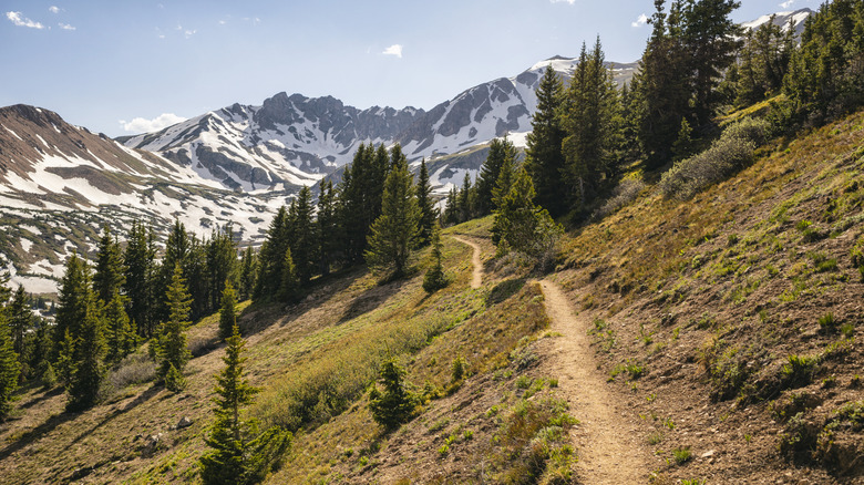 The Herman Gulch are of the Continental Divide Trail in the Rocky Mountains, Colorado