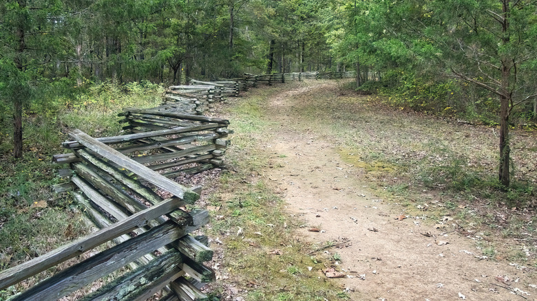 The Natchez Trace National Scenic Trail beside a zigzag split rail fence in a lush forest along the Natchez Trace Parkway in Tennessee