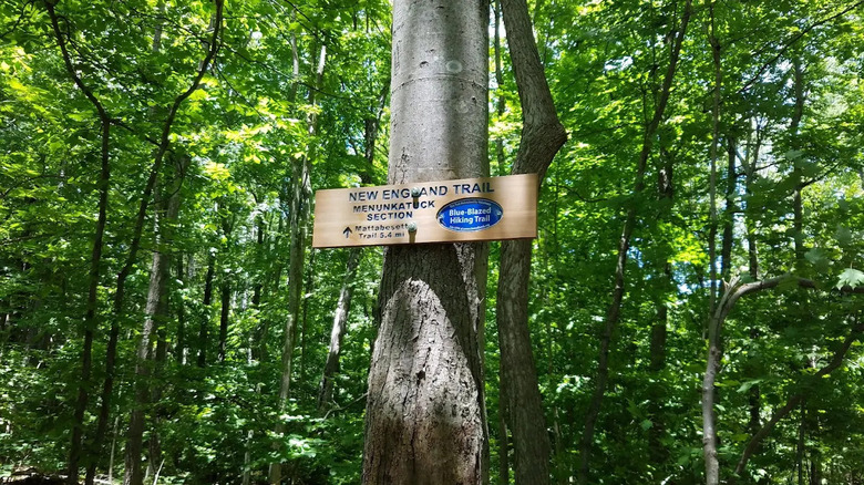 A sign for the Menunkatuk section of the New England Trail