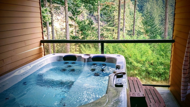 A hot tub looking through a window into a forest at Carson Hot Springs Golf & Spa
