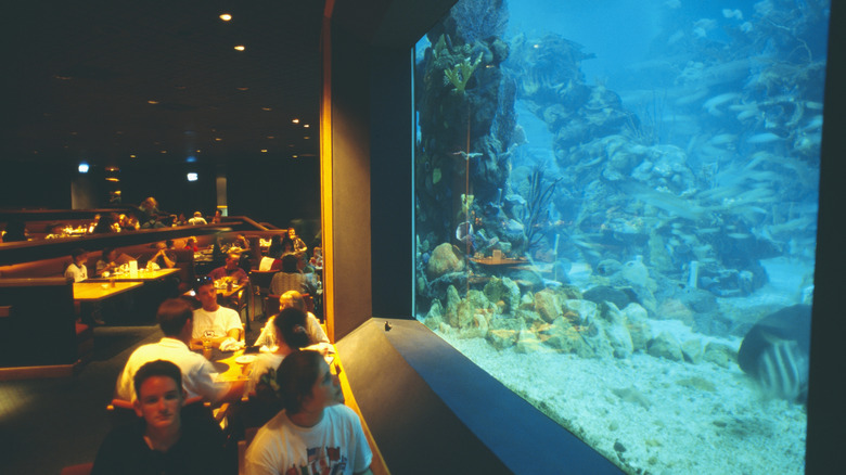 Restaurant at Epcot, Disney World