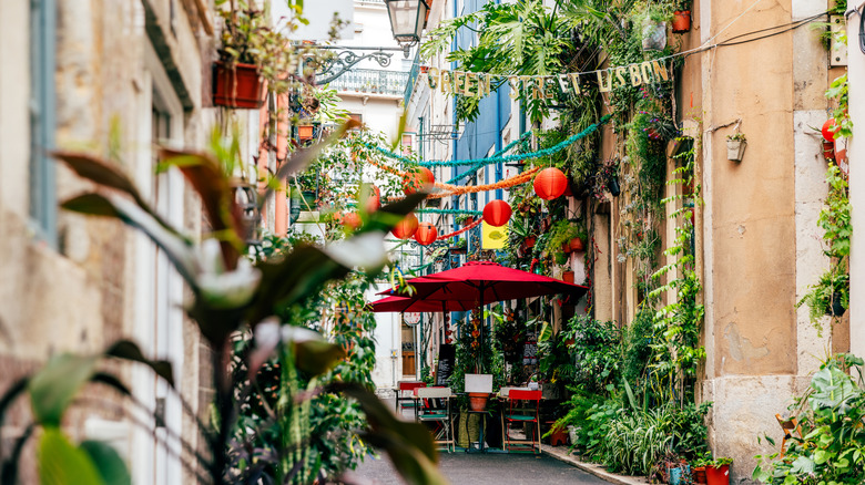 Narrow Lisbon street filled with plants and outdoor seating at a cafe