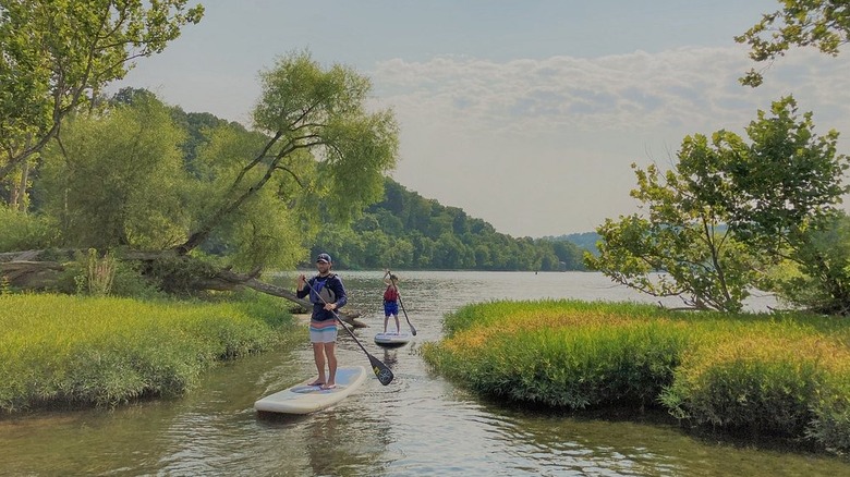 An adult and child on white paddleboards in a river channel between two vegetation-covered landmasses, with treed hills in the background under a cloudy blue sky