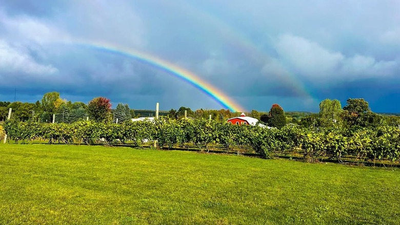 A rainbow over a red farmhouse