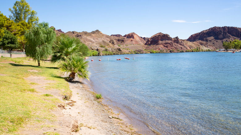 The Colorado River in Buckskin Mountain State Park