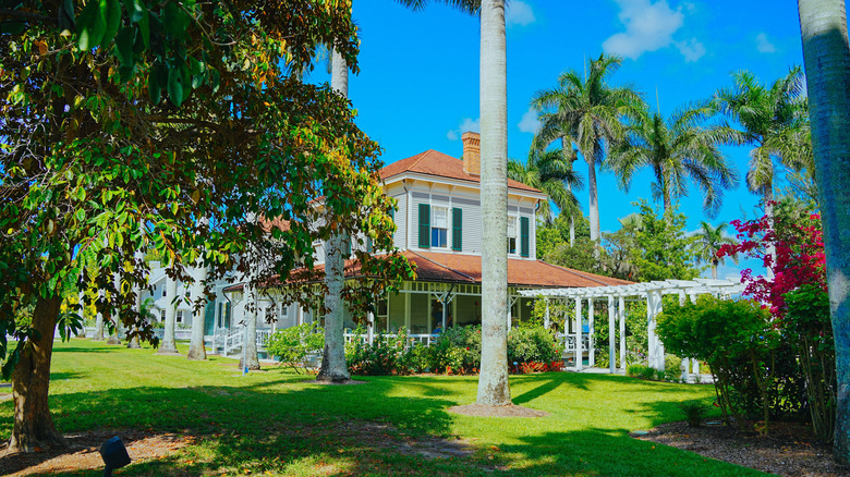 House surrounded by trees and plants