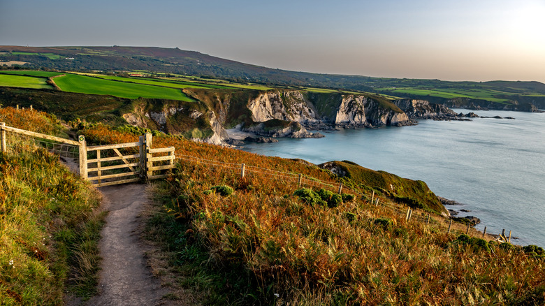 A gateway on the Pembrokeshire Coast Path leads through clifftop fields with more cliffs in the background